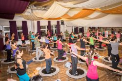 Balance Swing™ Trainerworkshop 2014