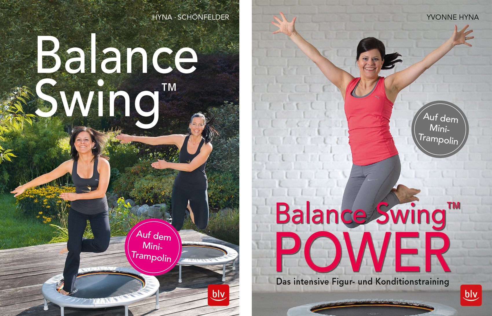 Balance Swing auf dem Mini-Trampolin NEU Handbuch/Fitness/Übungen/Training Hyna 